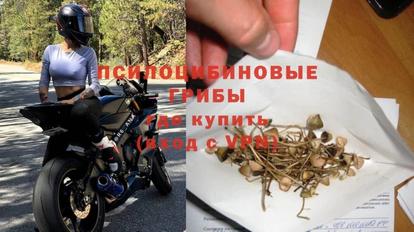 каннабис Арсеньев