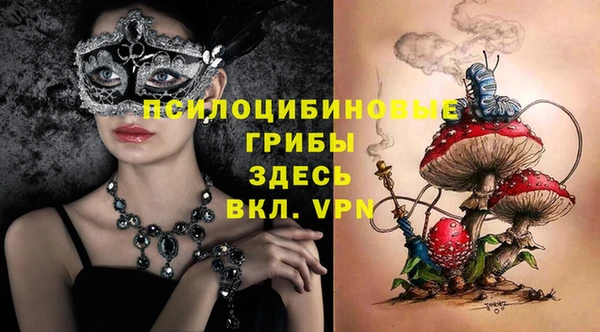 mix Няндома