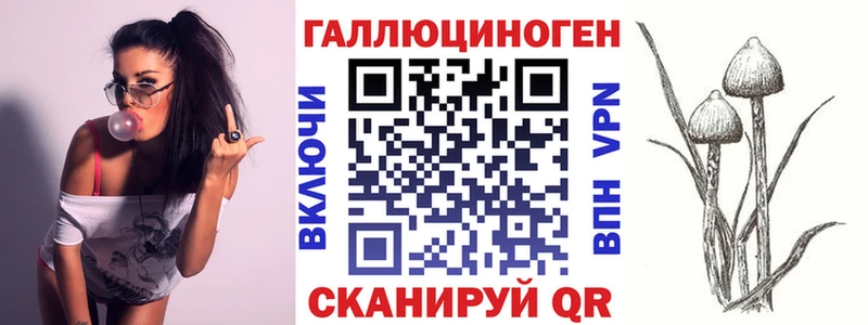 Псилоцибиновые грибы мухоморы  магазин продажи наркотиков  Мыски 