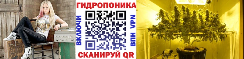 Каннабис марихуана  купить  цена  Мыски 